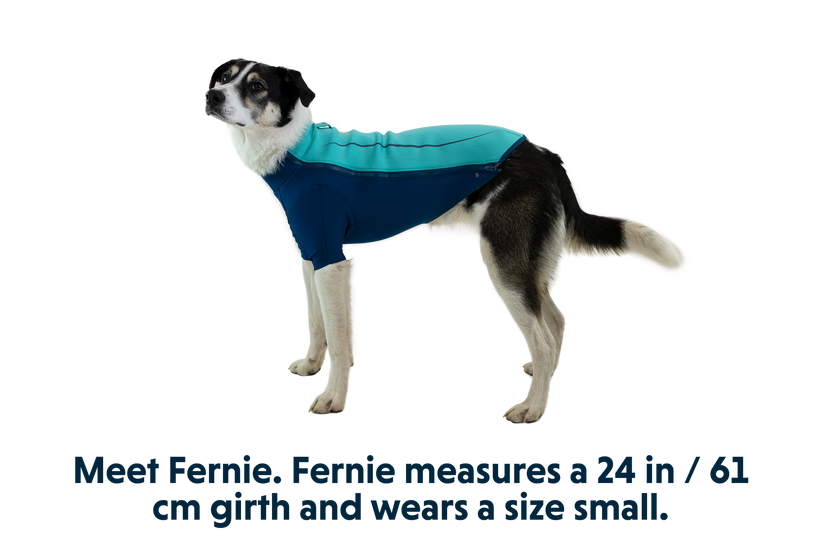 モンベル ラフウェア アンダーコートウォータージャケット(RUFFWEAR) Undercoat™ Jacket | Dog Wetsuit | Ruffwear