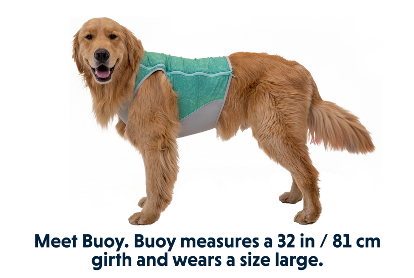 Swamp cooler dog vest deals