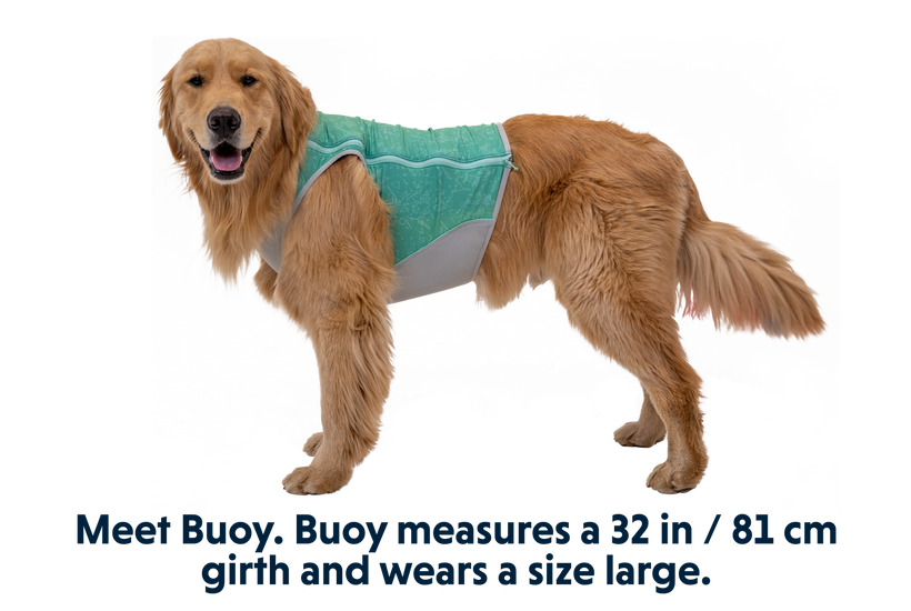 Swamp Cooler Zip™ Cooling Dog Vest | Ruffwear