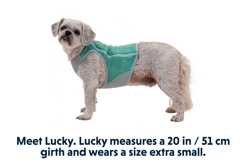 Swamp Cooler Zip™ Cooling Dog Vest | Ruffwear