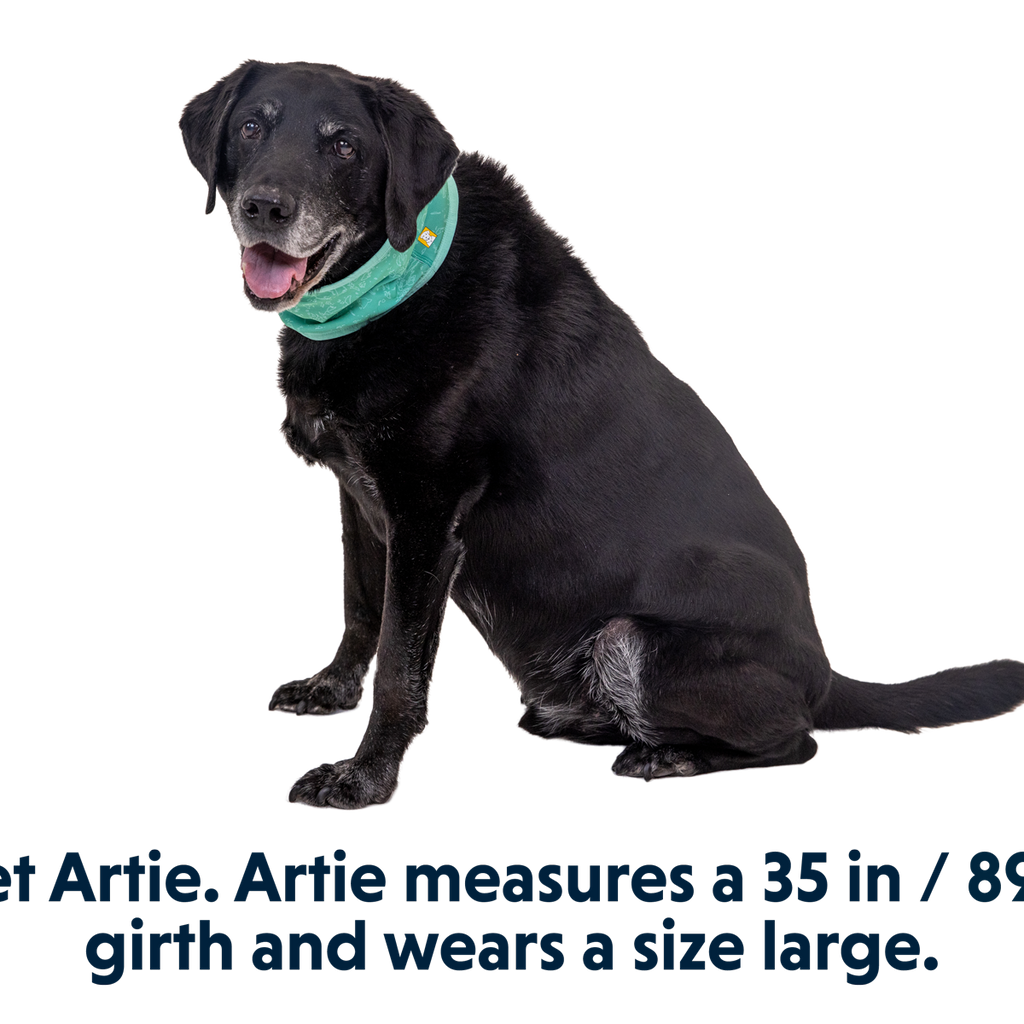 Swamp Cooler™ Cooling Neck Gaiter Ruffwear