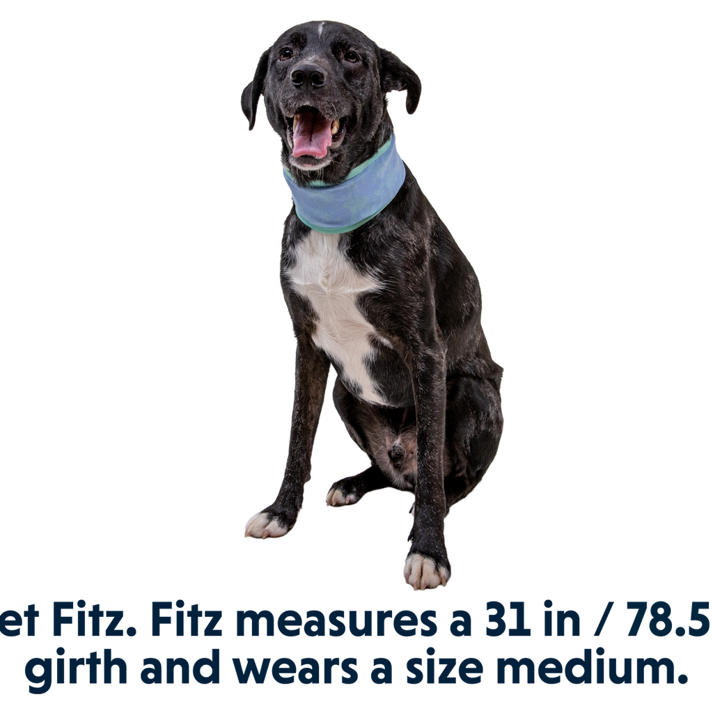 Swamp Cooler™ Cooling Neck Gaiter Ruffwear