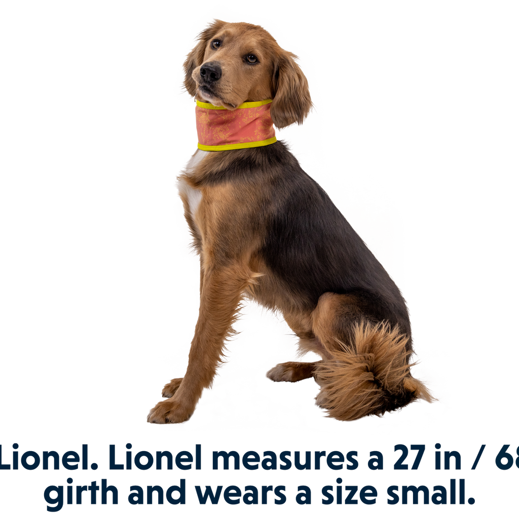 Swamp Cooler™ Cooling Neck Gaiter Ruffwear