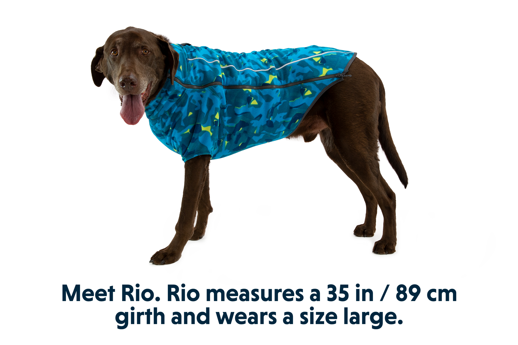 Fleece sweater for sales dogs