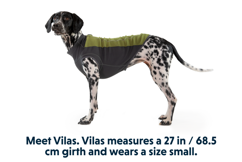 Climate Changer™ Dog Fleece Pullover | Ruffwear