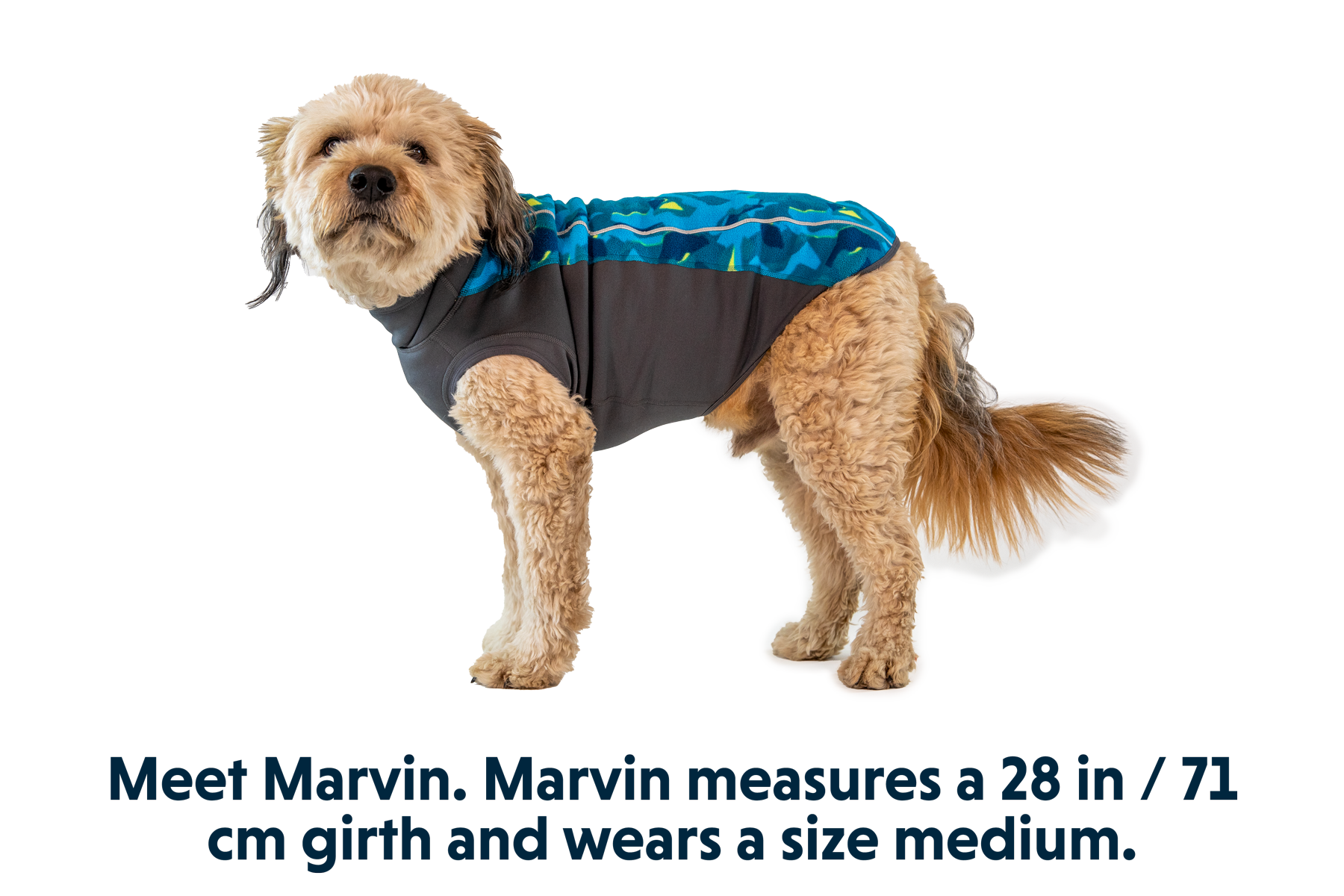 Ruffwear climate sale changer pullover