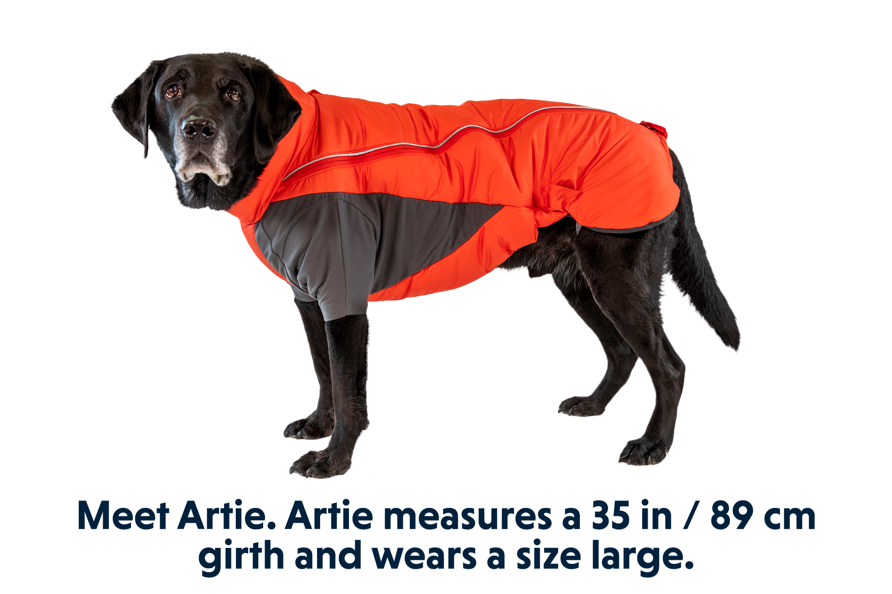 Ruffwear aira sale dog jacket