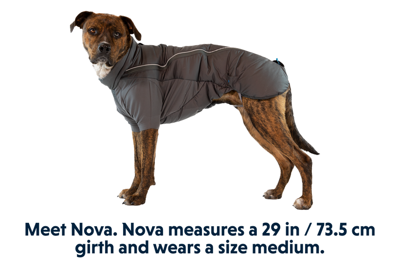 Furness™ Dog Jacket | Dog Puffer | Ruffwear