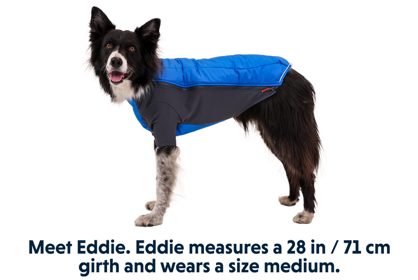 Powder Hound™ Winter Dog Jacket | Hybrid Insulated Winter | Ruffwear Powder Hound™ Winter Dog Jacket | Hybrid Insulated Winter | Ruffwear