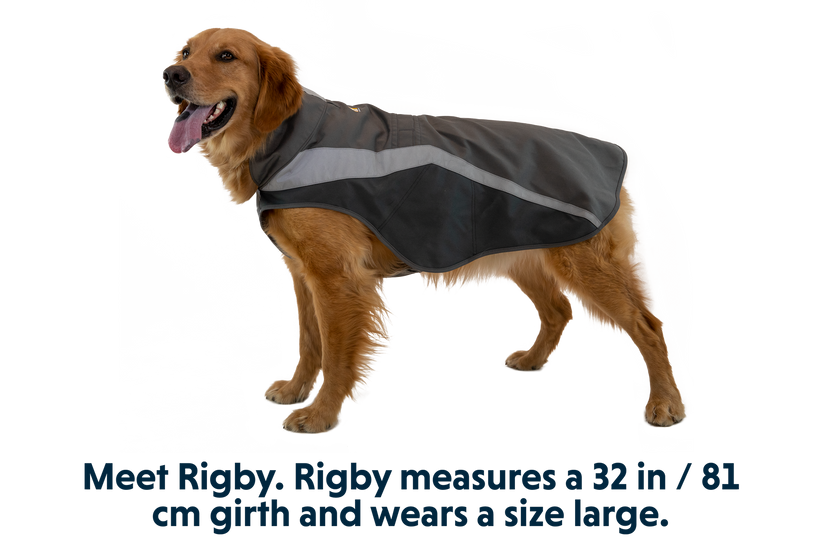 Dog hi 2025 vis jacket
