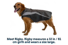Ruffwear Lumenglow reflektierende Weste für Hunde blaze orange