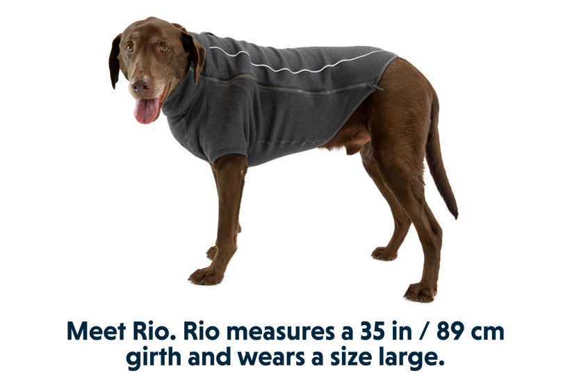 Waterproof Dog Collars - Surf Dog Australia Stay Dry Collar