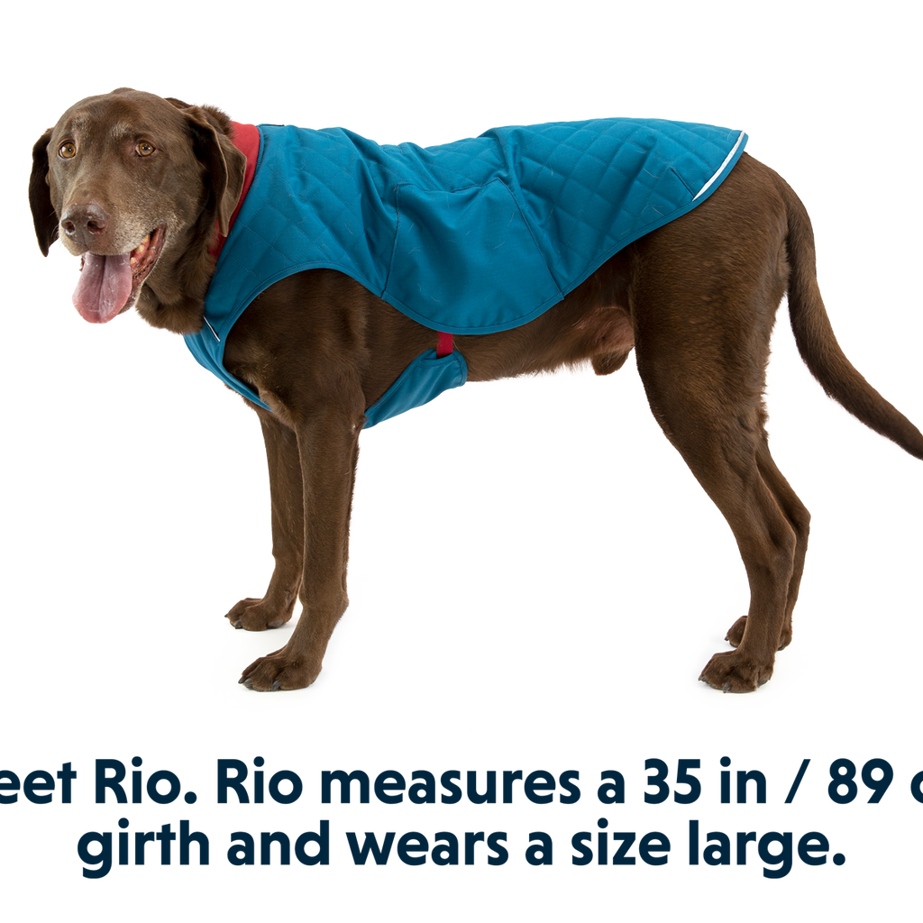 Stumptown™ Quilted Dog Coat Ruffwear
