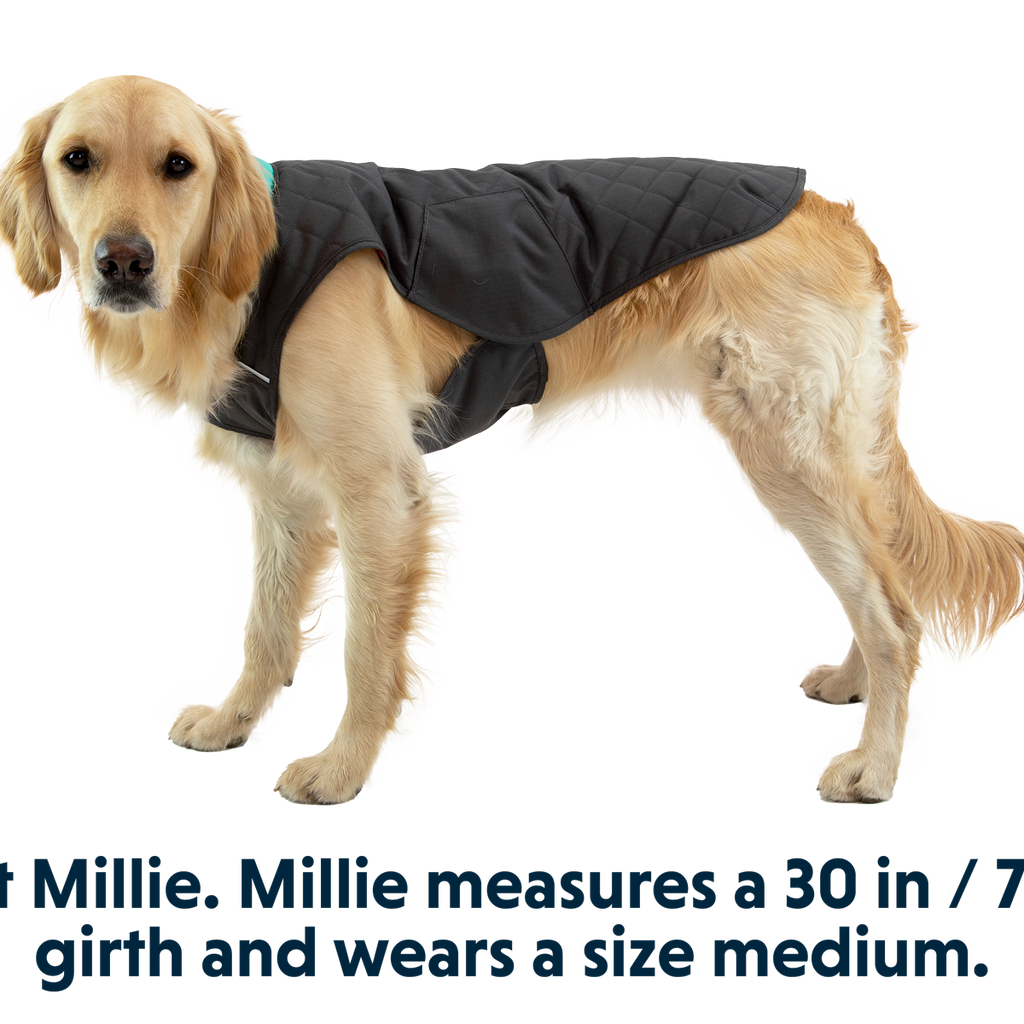 Stumptown™ Quilted Dog Coat Ruffwear