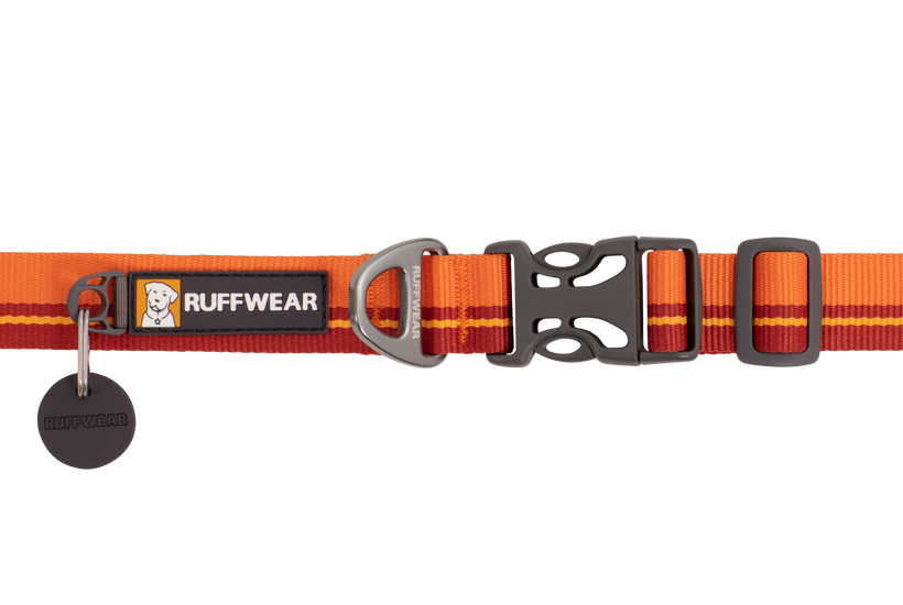 Flat id hot sale tags for dogs