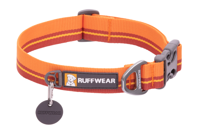 Flat id hot sale tags for dogs