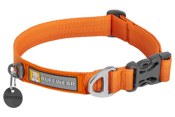 Dachshund collars top and leashes