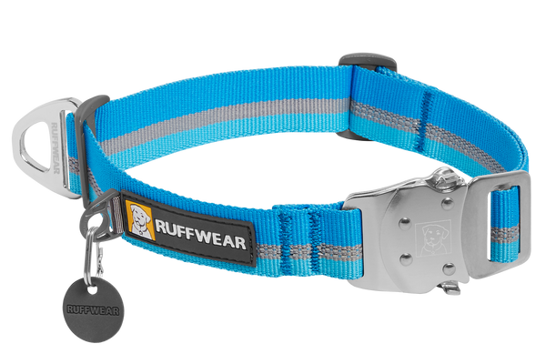 The 9 Best Dog Collars of 2023, Tested and Reviewed
