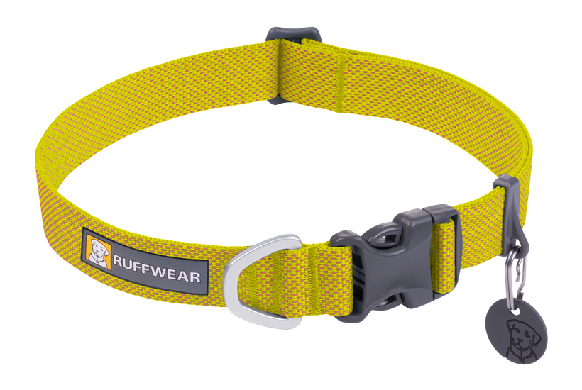The 9 Best Dog Collars of 2023, Tested and Reviewed