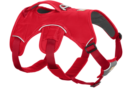 Web Master™ Dog Harness with Handle | Secure, Supportive | Ruffwear