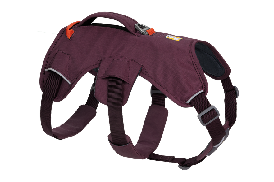 Avalanche reflective dog harness discount