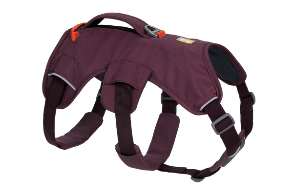 Pets at hot sale home ruffwear harness