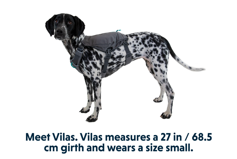 Black-V Summer Mesh Designer Dog Vest