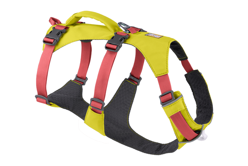 Dog harness with top handle on top