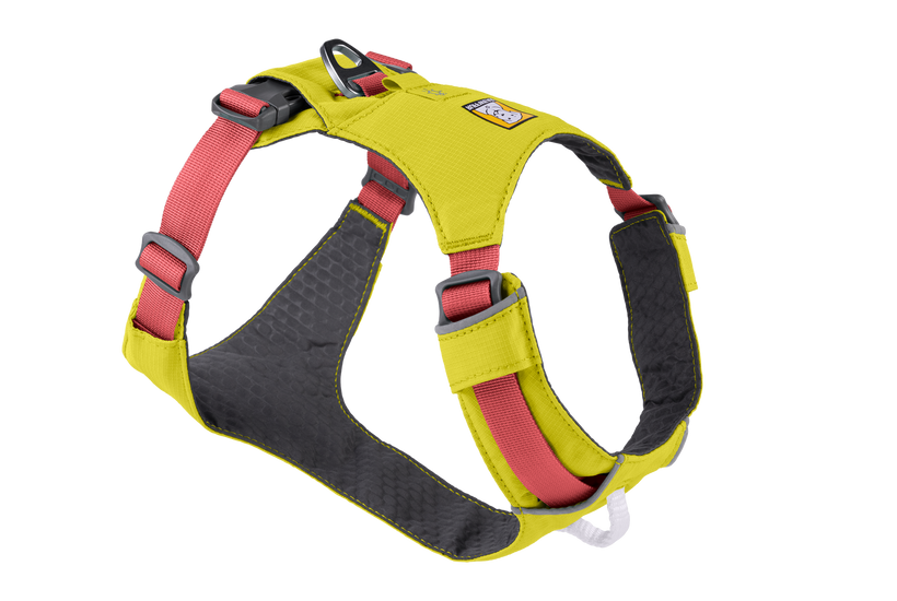 Dog collars top and harnesses