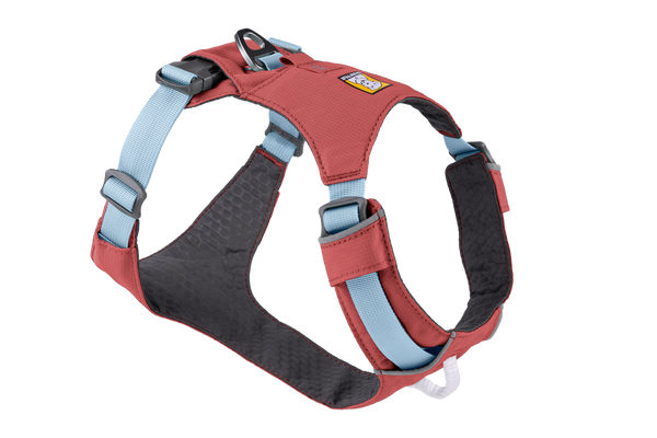 Dog collars top and harnesses