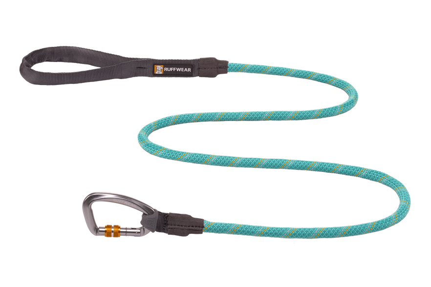 A leash top