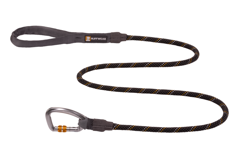 Pet leash online