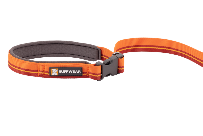 Leash buckle on sale