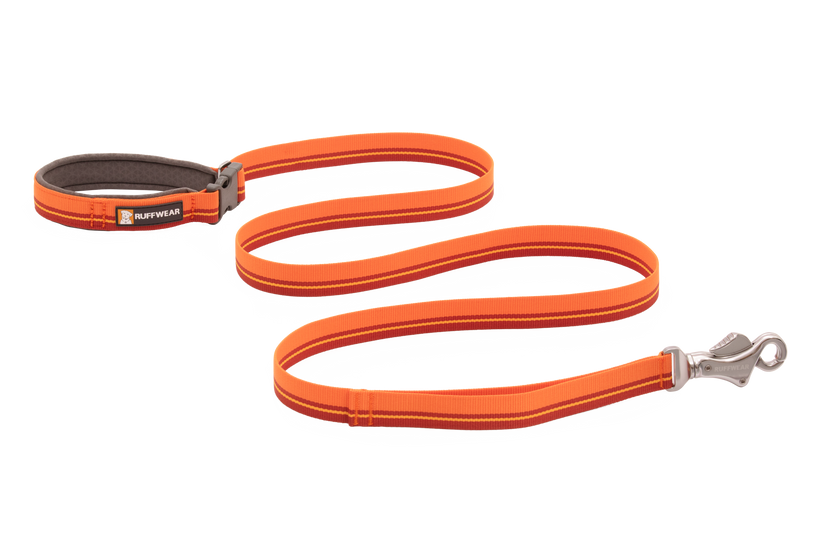 Dog leash handle clearance only