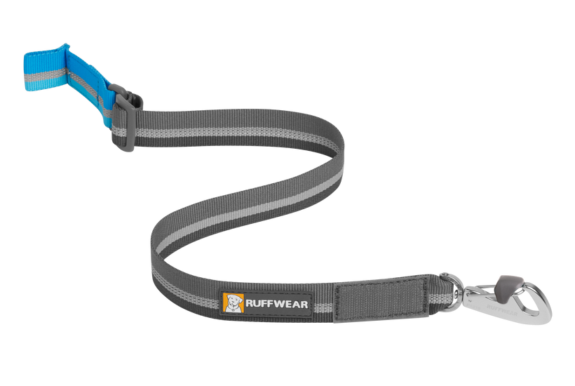 Webbing dog leads hot sale