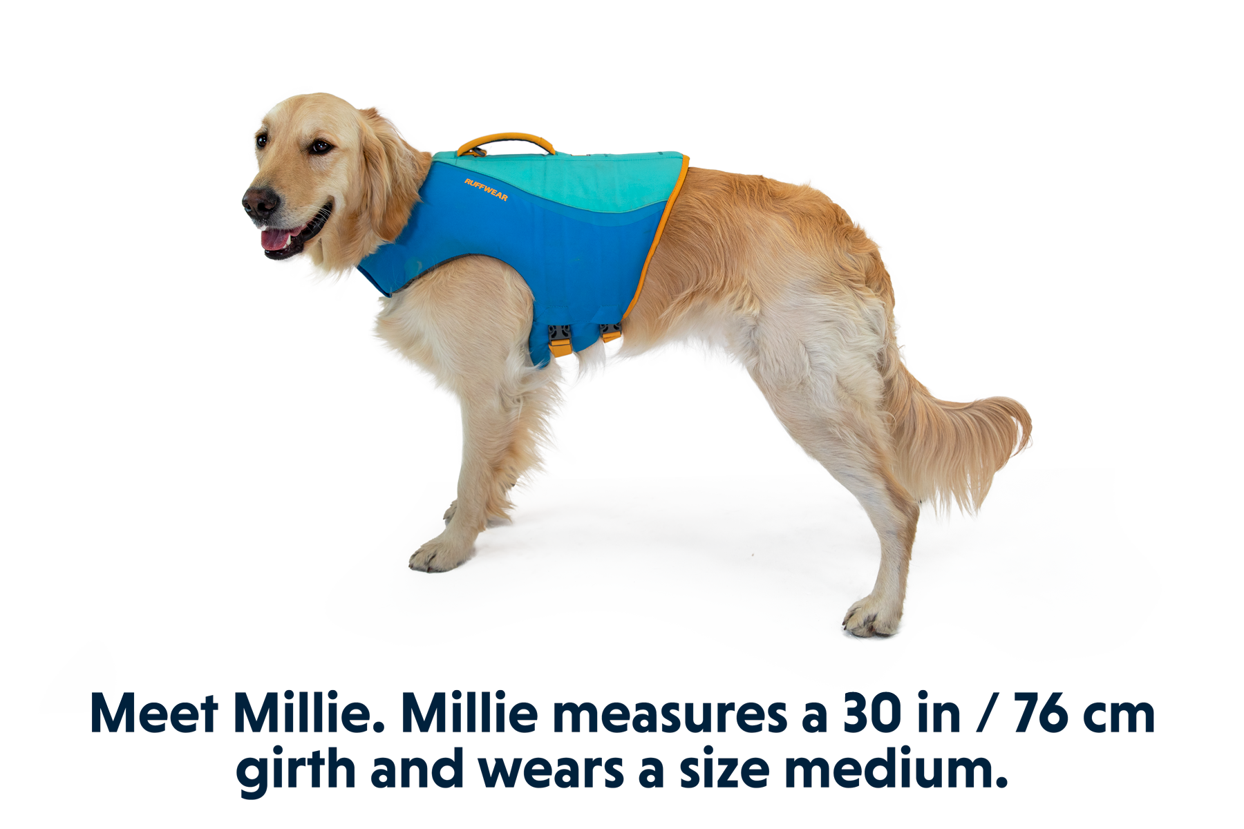 Ruffwear float coat new arrivals medium