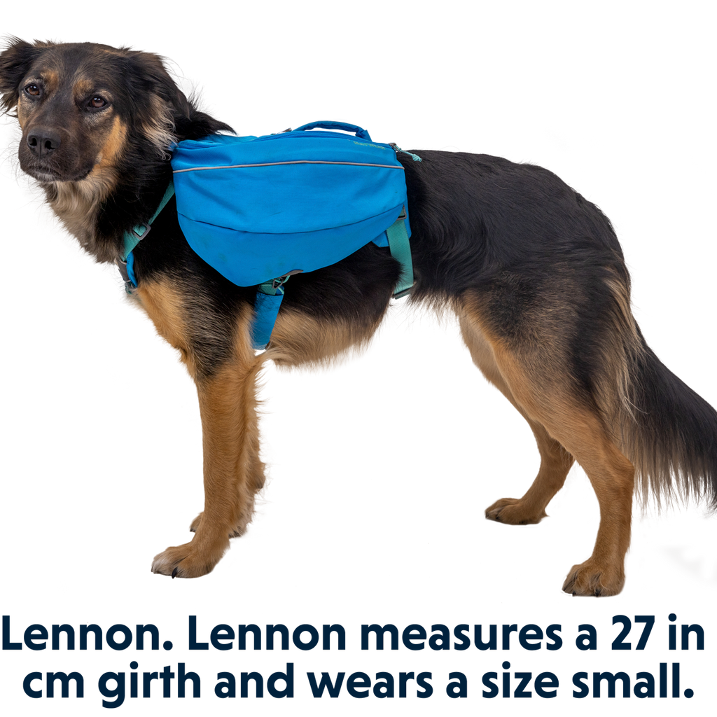 Approach™ Dog Backpack | Pack for Dogs | Ruffwear