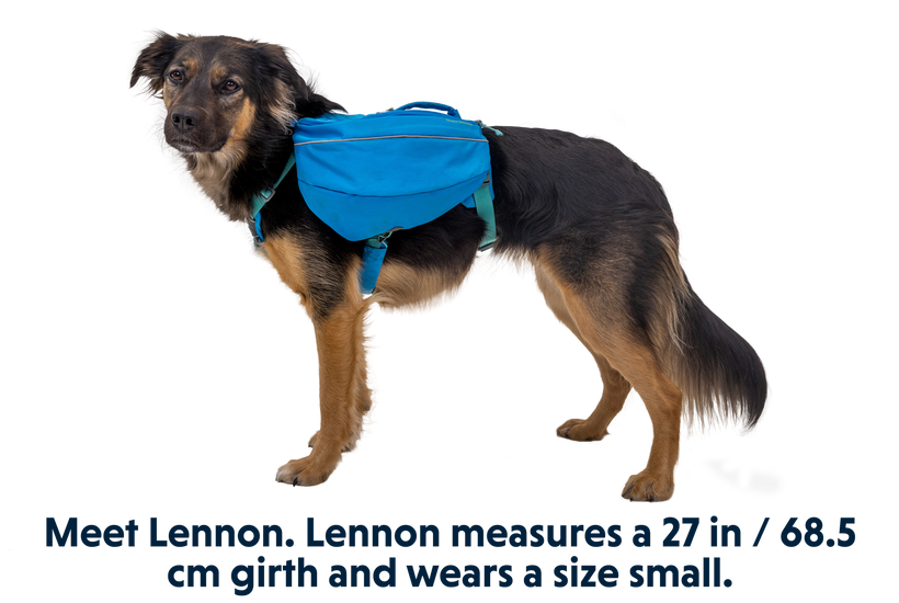 Approach™ Dog Backpack Pack for Dogs Ruffwear1