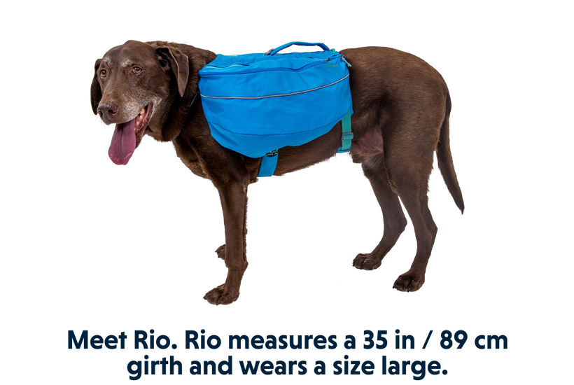 Singletrak™ Dog Hydration Pack
