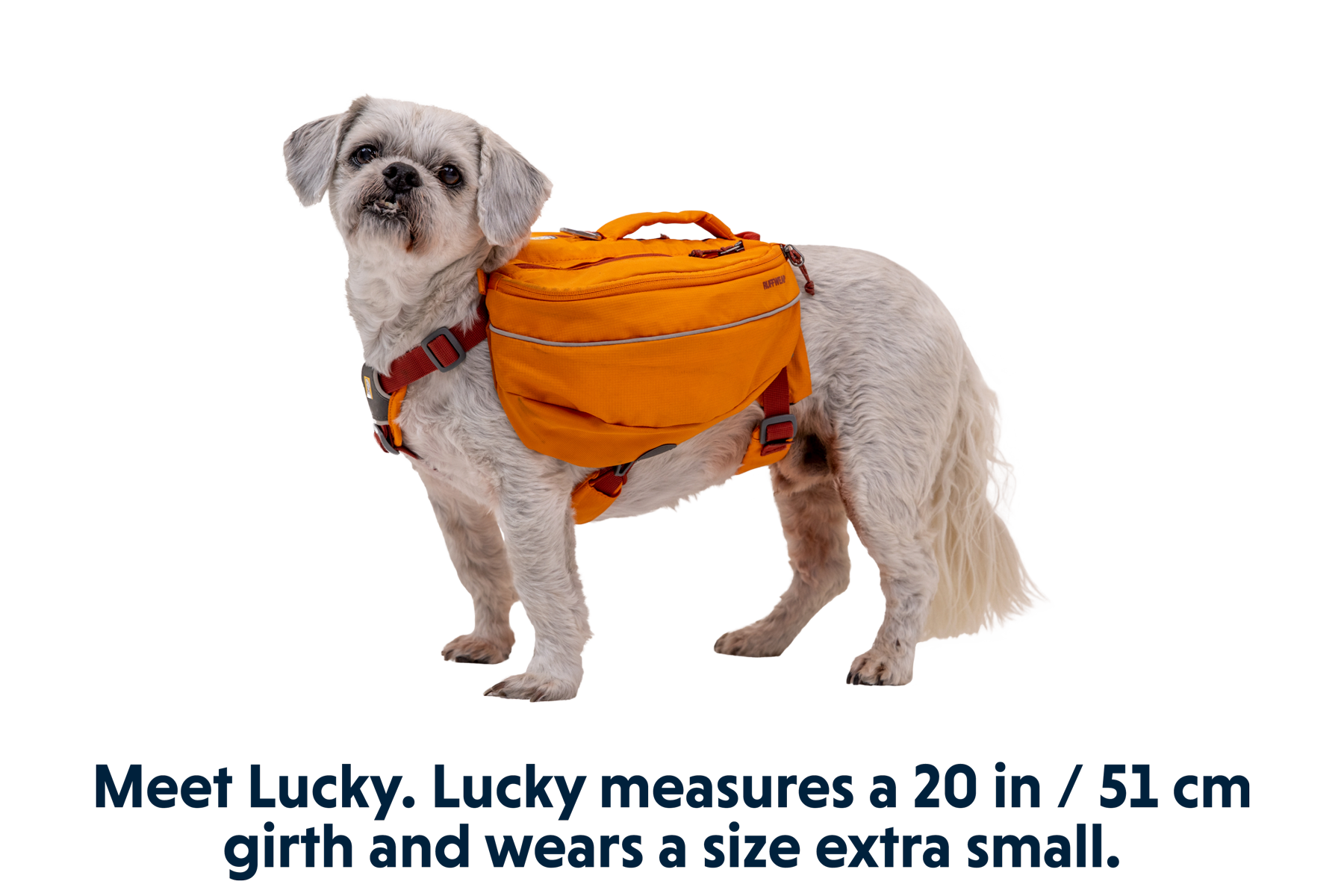 Ruffwear fashion saddlebags