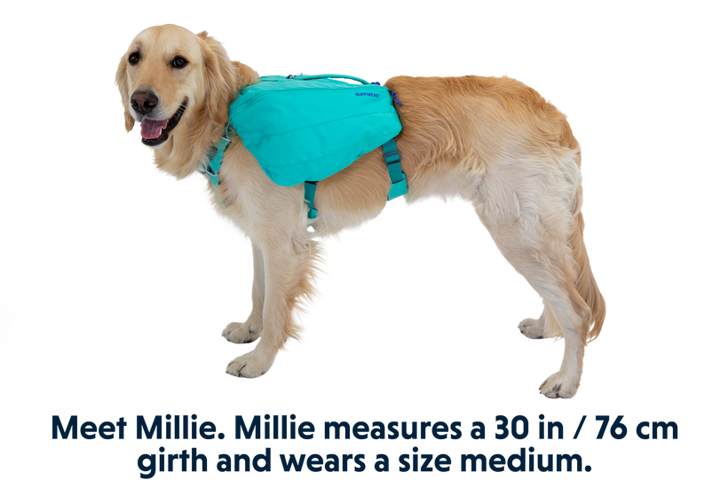 Ruffwear Xs Dog Backpack Ruffwear Approach Dog Backpack Size XS 17