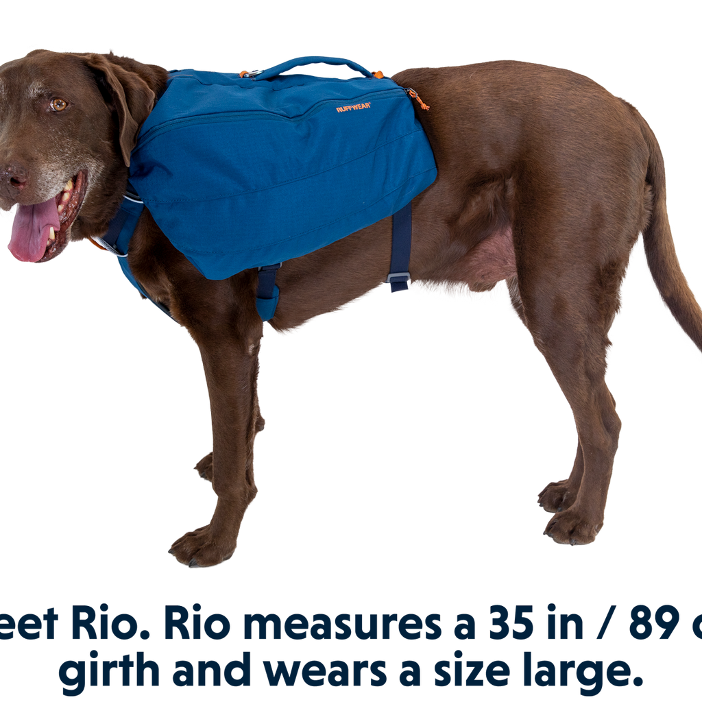 Front Range™ Day Pack | Ruffwear