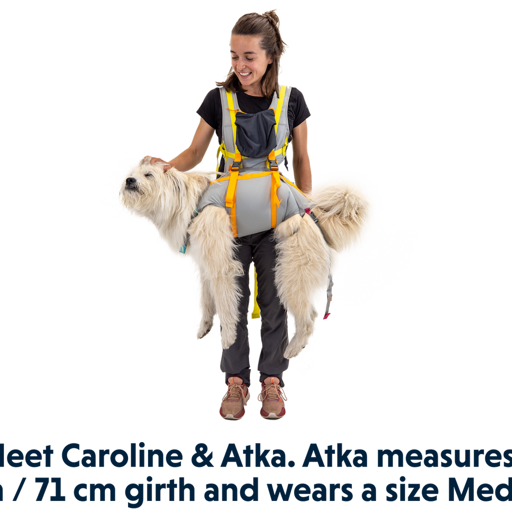 BackTrak™ Dog Sling Carrier Evacuation Kit | Ruffwear