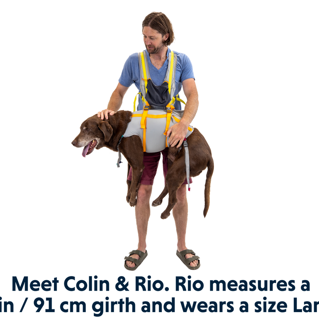 BackTrak™ Dog Sling Carrier Evacuation Kit Ruffwear