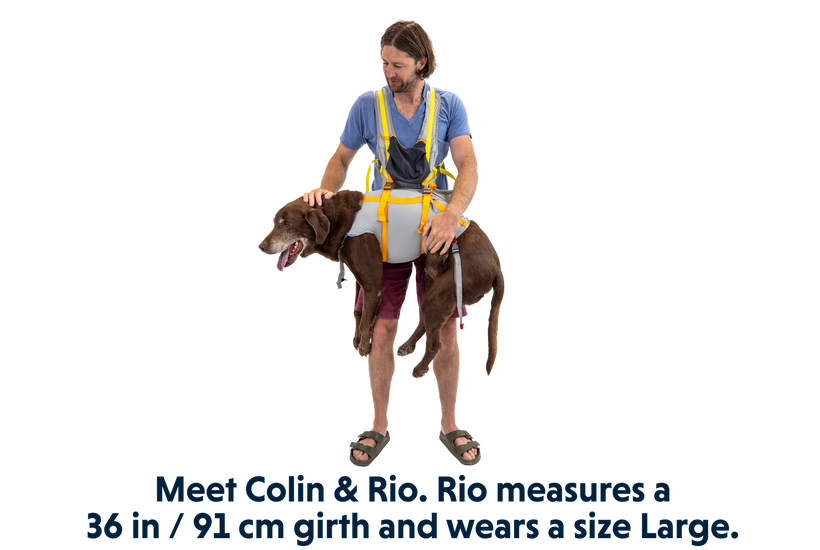 BackTrak Dog Sling Carrier Evacuation Kit Ruffwear