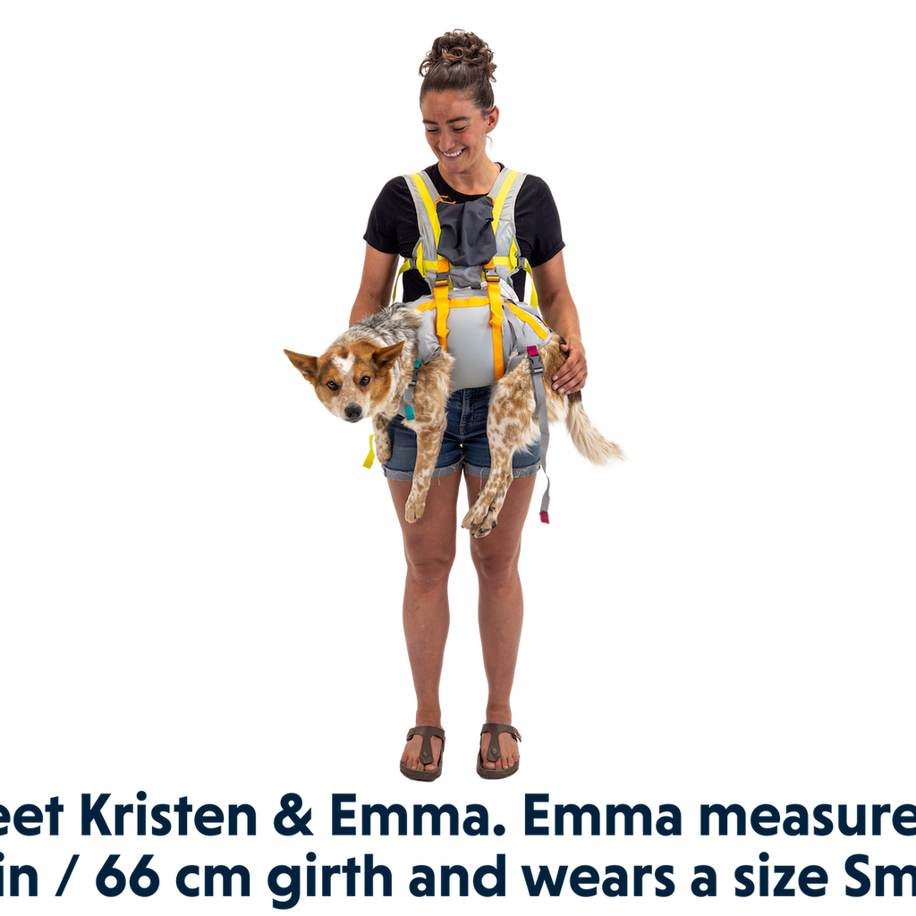 BackTrak™ Dog Sling Carrier Evacuation Kit | Ruffwear