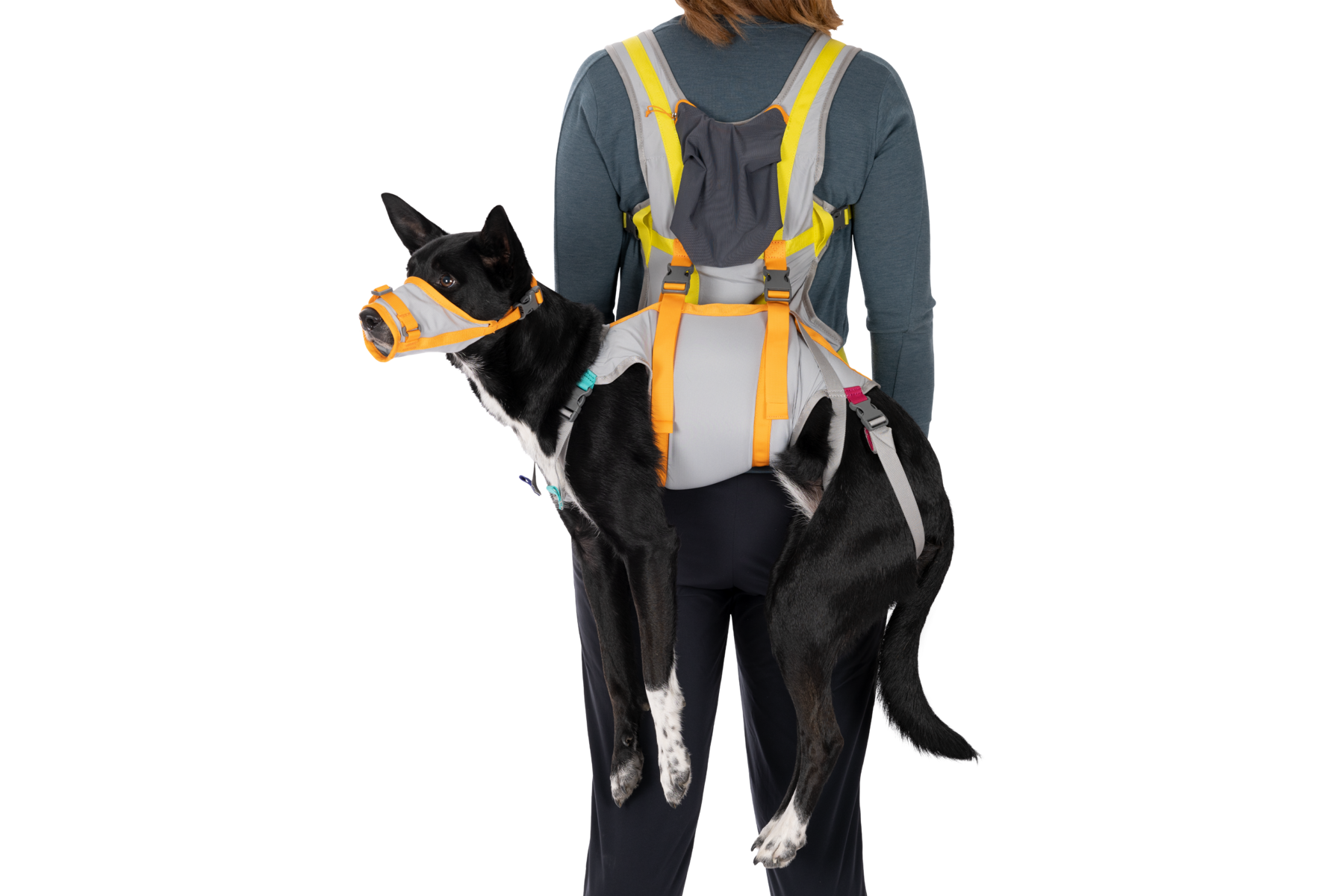 Fido Pro Dog Carrying Harness Hiking BackTrak™ Dog Sling Carrier