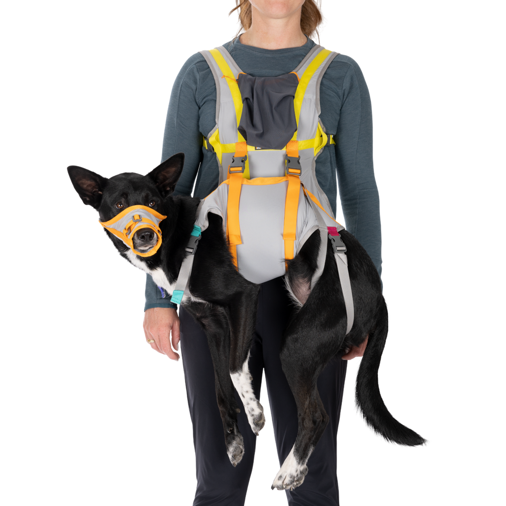 BackTrak™ Dog Sling Carrier Evacuation Kit | Ruffwear