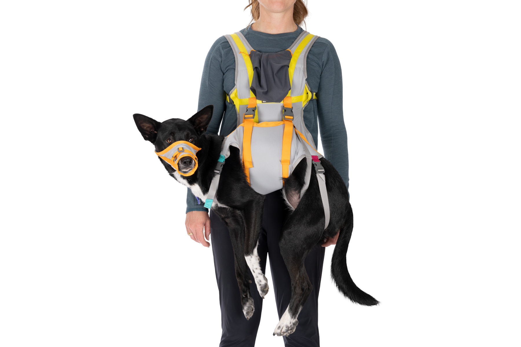 BackTrak™ Dog Sling Carrier Evacuation Kit Ruffwear