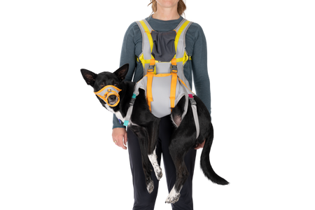 Ruffwear dog carrier best sale